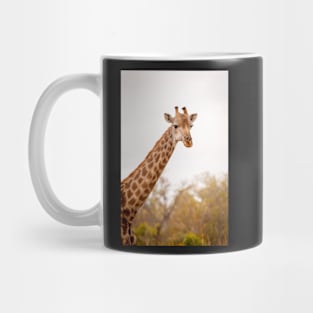 Head shot of a giraffe Mug